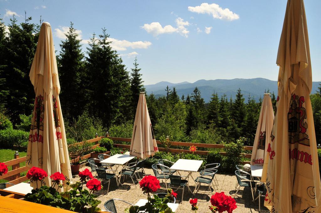 Готель Kolmsteiner Hof Нойкірхен-байм-Гайліґен-Блут Екстер'єр фото