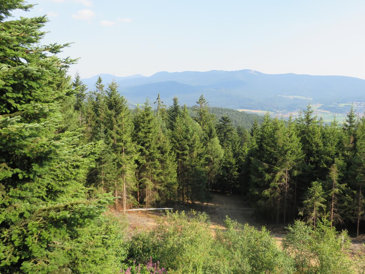 Готель Kolmsteiner Hof Нойкірхен-байм-Гайліґен-Блут Екстер'єр фото
