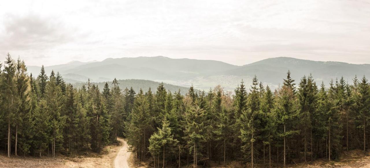 Готель Kolmsteiner Hof Нойкірхен-байм-Гайліґен-Блут Екстер'єр фото